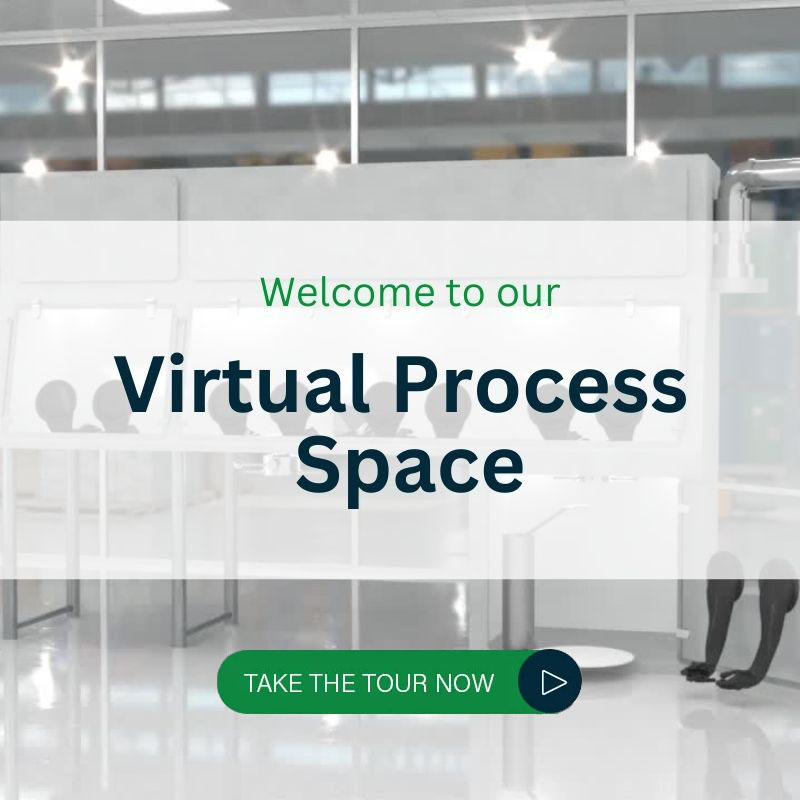 Welcome to the Virtual Process Space
